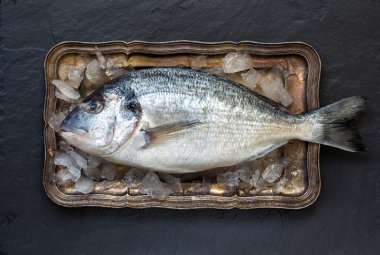 taze dorado balığı