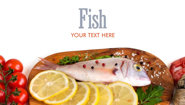 Taze balık ve deniz ürünleri. — Stok fotoğraf