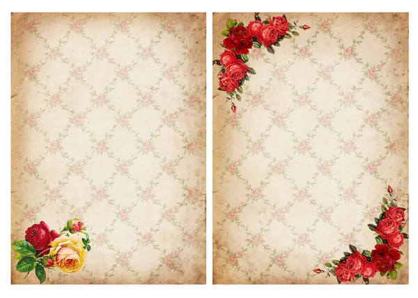 Fondos vintage con rosas — Foto de Stock