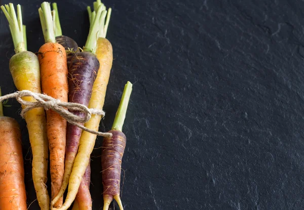 Carottes arc-en-ciel biologiques fraîches — Photo