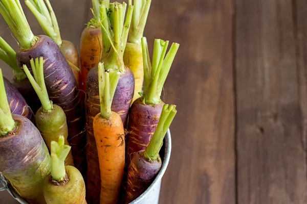 Marchew świeże organicznych tęczy — Zdjęcie stockowe