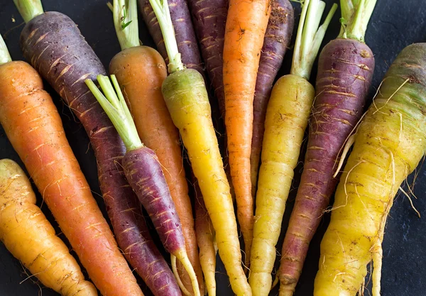 Zanahorias arco iris orgánicas frescas Fotos de stock libres de derechos