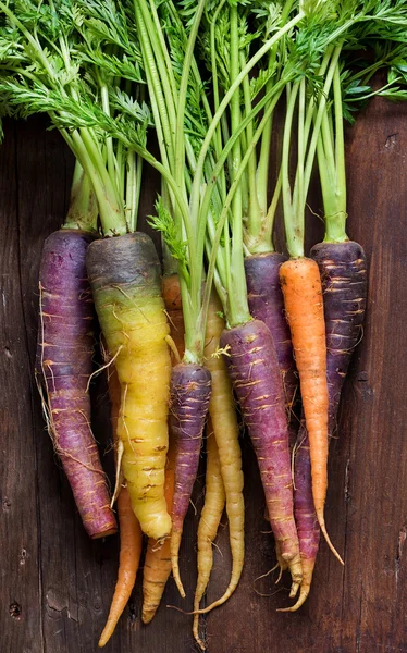Свежая органическая радужная морковь — стоковое фото