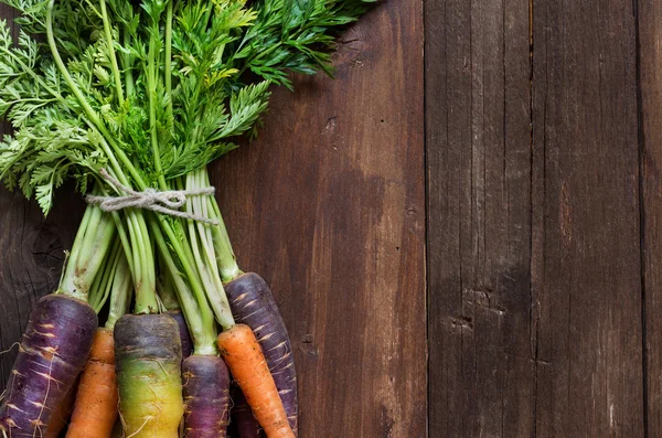 Fresh organic rainbow carrots — Stock Photo, Image