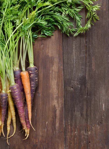 Fresh organic rainbow carrots — Stock Photo, Image