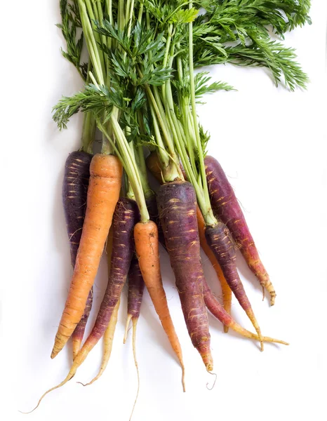 Fresh organic rainbow carrots — Stock Photo, Image