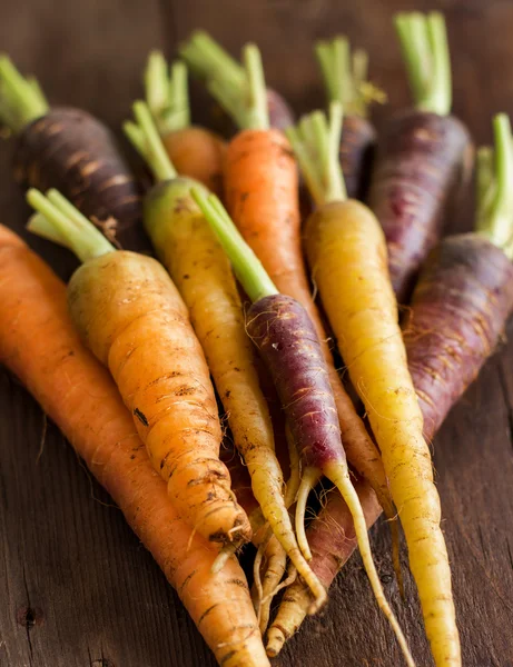 Zanahorias arco iris orgánicas frescas — Foto de Stock