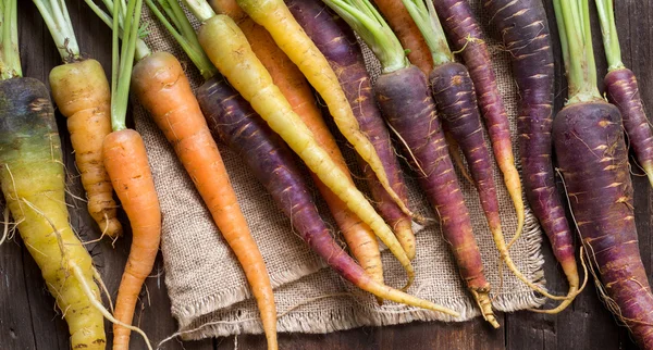 Fresh organic rainbow carrots — Stock Photo, Image