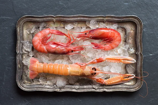 Surowy homarca i krewetek na lodzie — Zdjęcie stockowe