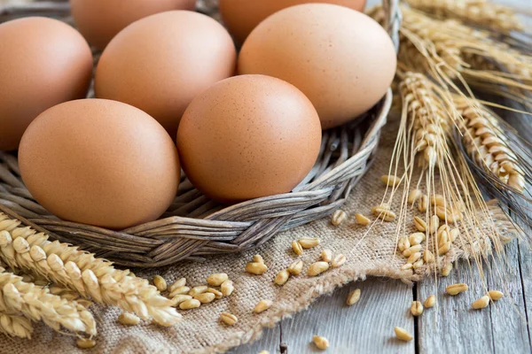 Chicken eggs and wheat — Stock Photo, Image