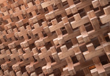 Ayrıntılar Japonya Pavyonu, Expo 2015