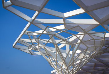 Türkiye Pavyonu, Expo 2015 ayrıntılarını