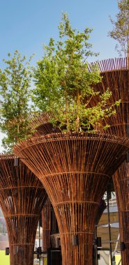 Ayrıntılar Vietnam Pavyonu, Expo 2015