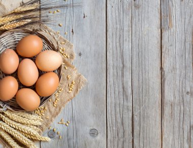 Tavuk yumurtası ve buğday 