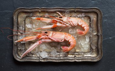 Buz üzerinde ham kerevitleri