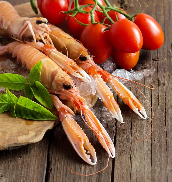 Raw langoustine on ice with tomatoes and basil — Stockfoto