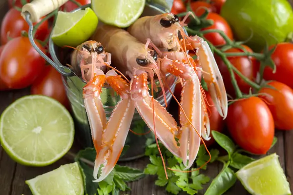 Raw langoustine in a bucket with vegetables — Stock Photo, Image