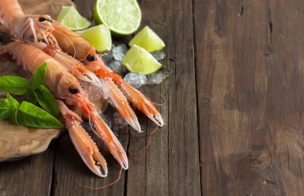 Raw langoustine on ice with lime and basil — Zdjęcie stockowe