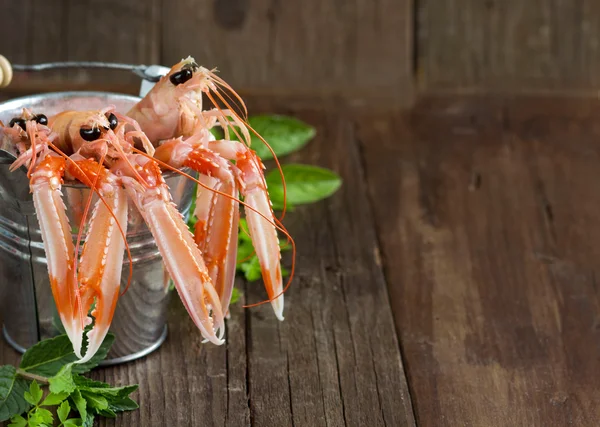 Rohe Langustin im Eimer mit Kräutern — Stockfoto