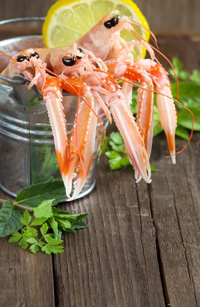 Surowy homarca w wiadrze z ziołami — Zdjęcie stockowe
