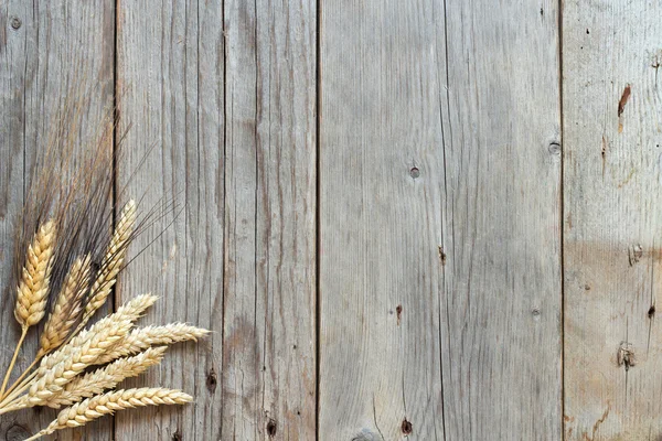 Wheat and spelt on wooden background — Stock Photo, Image