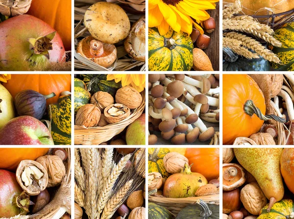 Rustic autumn collage: fruits, cereals and vegetables