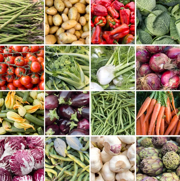 Collage of 16 fresh vegetables — Stock Photo, Image