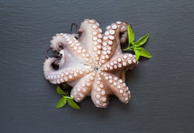 Fesleğenli ham ahtapot