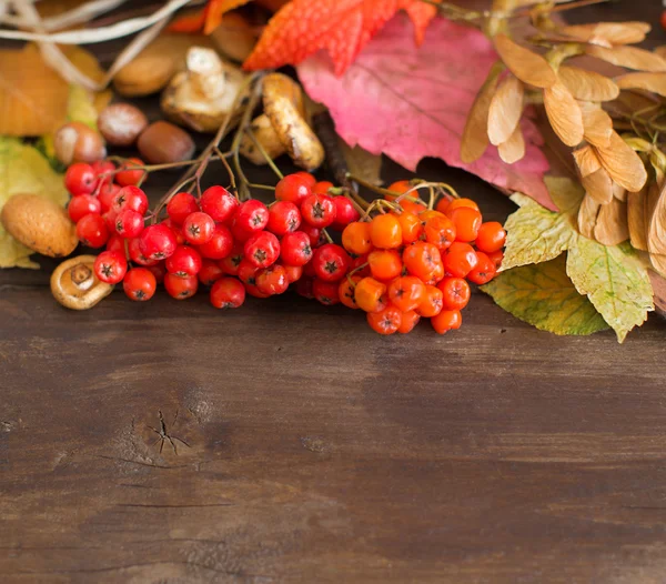 Autumn background — Stock Photo, Image