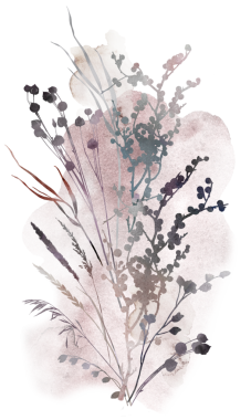 Suluboya boho sonbahar buketi, kuru yapraklar, çimenler ve tohum tozlu toprak tonlarda - bej, kahverengi, gri, dilsiz pembe, düğün davetiyeleri ve parti tasarımı için izole edilmiş çizimler