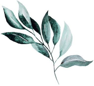 Elle çizilmiş yeşil yapraklı suluboya dal, botanik yeşili izole çizimler. Düğün kırtasiyesi ve parti tasarımı için romantik unsur