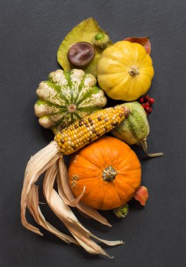 Kabaklarla sonbahar arkaplanı
