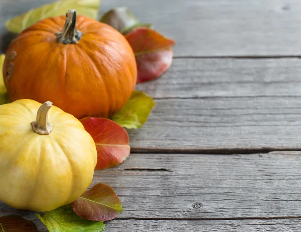 Autumn background with pumpkins — Stock Photo, Image