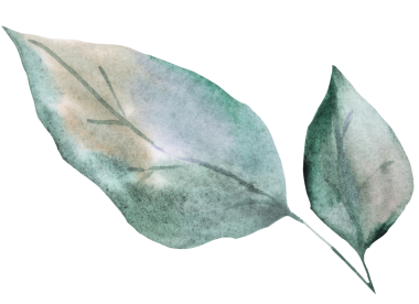 El çizimi suluboya yeşil yaprak izole bir resim. Bahar botanik kırtasiyesi ve parti tasarımı için romantik pastel öğeler. Aşk ve kutlama atmosferi 