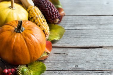 Pumpkins, meşe palamutları, yaprakları ve meyveleri