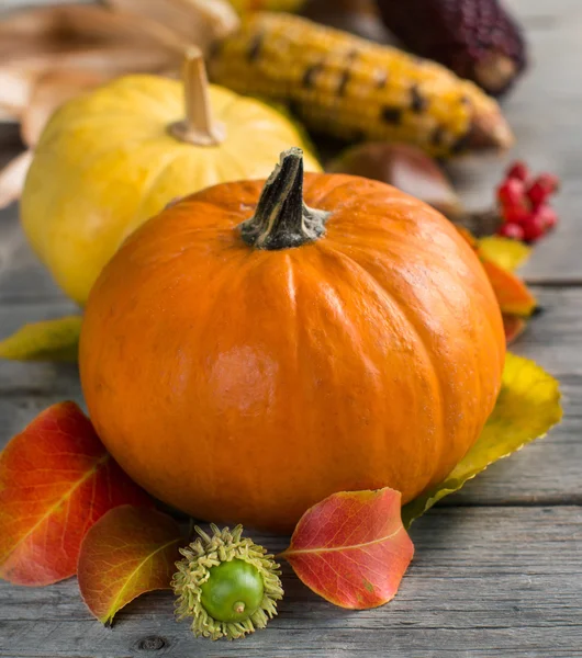 Pumpkins, acorns, leaves and berries — Stock Photo, Image