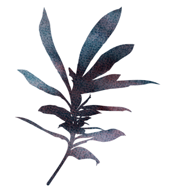 Suluboya elle boyanmış kuru gövde ile soğuk tonlarda yapraklar - mavi ve kırmızı, Boho sonbahar düğün davetiyeleri ve tasarımı için izole illüstrasyon, kış botanik parti tasarımları