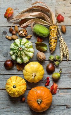 Kabaklarla sonbahar arkaplanı