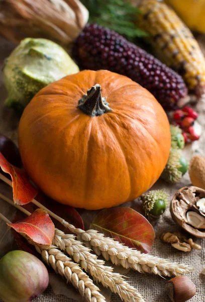 Autumn background with pumpkin — Stock Photo, Image