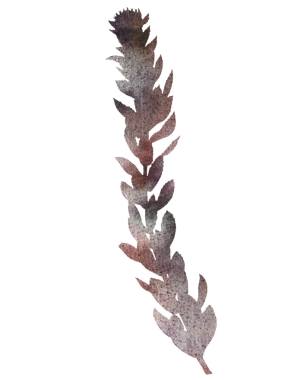 Suluboya elle boyanmış kuru gövde ile toprak tonları - kırmızı, kahverengi, pas, yalıtılmış illüstrasyon Boho sonbahar düğün davetiyeleri ve tasarım, kış botanik parti tasarımları