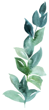 Açık yeşil bahçe yapraklı el yapımı suluboya dal. Bahar düğünü kırtasiyesi ve parti tasarımı için romantik pastel unsur. Aşk ve kutlama atmosferi