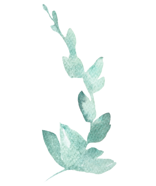 Açık yeşil bahçe yapraklı el yapımı suluboya dal. Bahar düğünü kırtasiyesi ve parti tasarımı için romantik pastel unsur. Aşk ve kutlama atmosferi