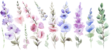 Suluboya açık mor çiçekler ve yapraklar klitoris seti, izole botanik illüstrasyon. Bahar ve yaz düğün davetiyeleri, tebrik kartları ve etkinlik kırtasiyesi isteği için çiçek unsurları