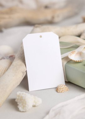 Deniz kabuklarının yanında kurdele ile sunulmuş adaçayı yeşili üzerinde boş dikey hediye etiketi maketi, kopyalama alanı. Yaz hediyeleri ve el yapımı ürün etiketleri için kıyı ambalajı