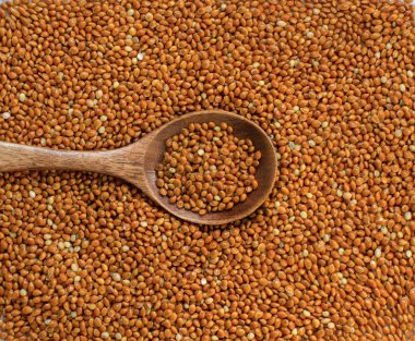 Kahverengi darı kazık bir kaşığı ile