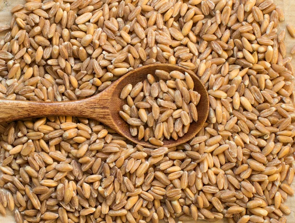 Farro intero non levigato con un cucchiaio — Foto Stock