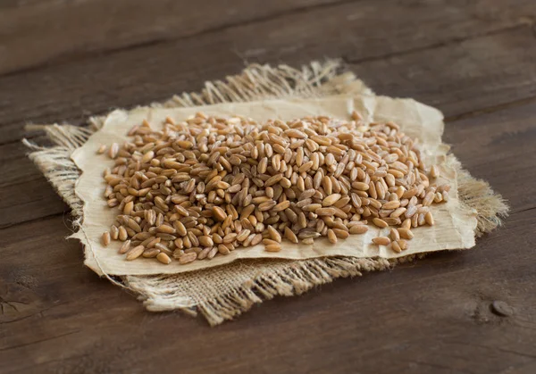 Haufen ganzer ungeschliffener Dinkel — Stockfoto