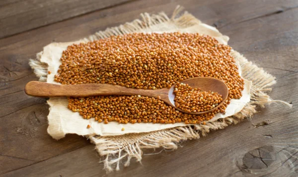 Pieu de millet brun entier avec une cuillère — Photo