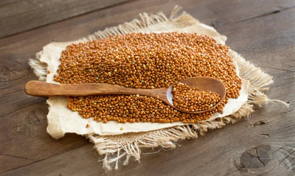 Pieu de millet brun entier avec une cuillère — Photo