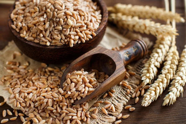 Ongekookt geheel spelt graan in een kom met spelt oren — Stockfoto